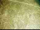 nazca-03