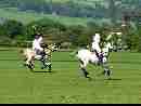 polo-game-03