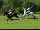 polo-game-05