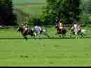 polo-game-06