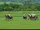 polo-game-08