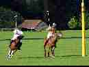 polo-game-09