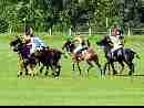 polo-game-13