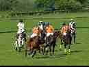 polo-game-15