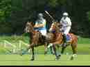 polo-game-20