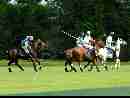 polo-game-22