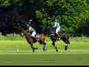 polo-game-23