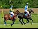 polo-game-26
