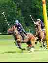 polo-game-35