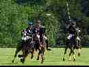 polo-game-41